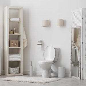 What Siphonic Toilets Offer for Your Bathroom