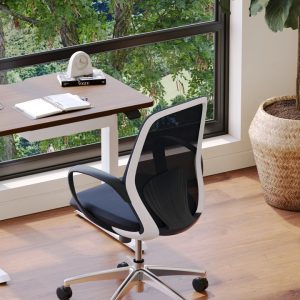What You Should Know About Ergonomic Desks for Home Offices