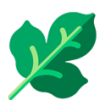 decorsearchlogo_ decorsearchlogo_
